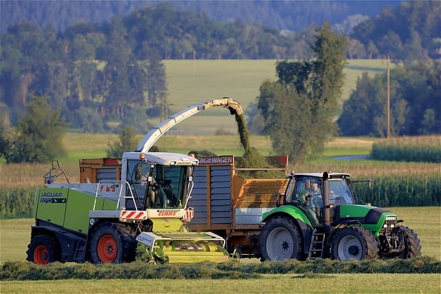 ensilage herbe